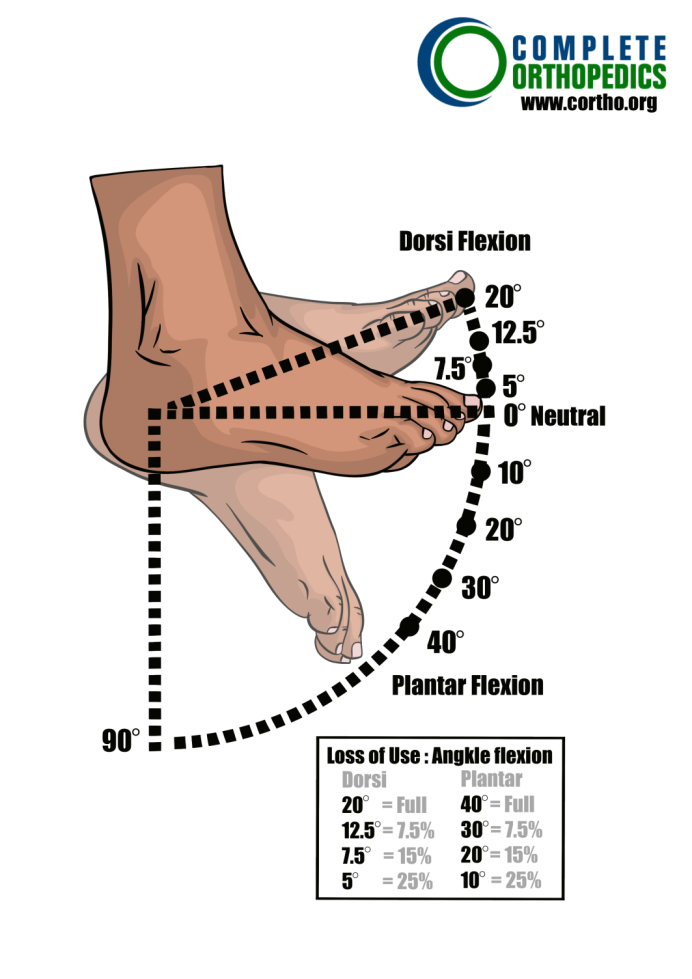 Percent-Loss-of-Use-of-the-Foot-Flexion-Deficits-of-the-Ankle