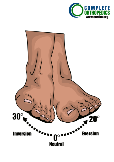 inversion and eversion of ankle to evaluate loss of motion to calculate scheduled loss of use for workers compensation patient